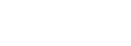 big paws logo