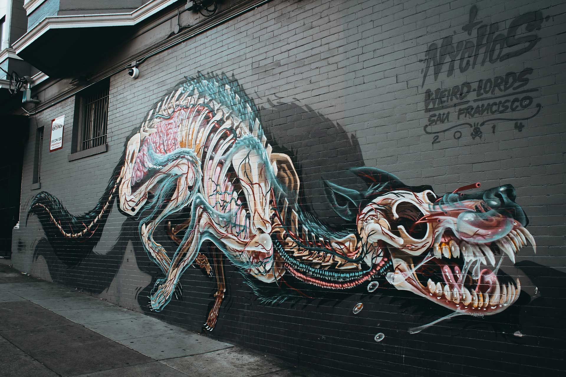 mural of dog skeleton on black wall